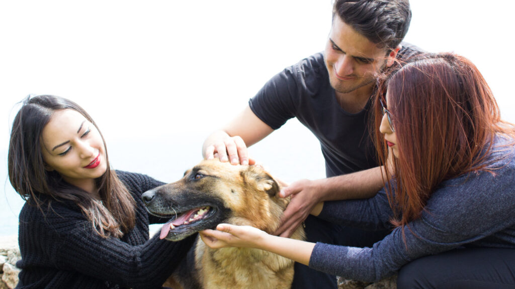 dog getting attention