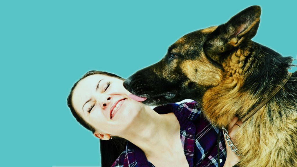 How Do I Stop My Dog Constantly Licking Me? VetChat