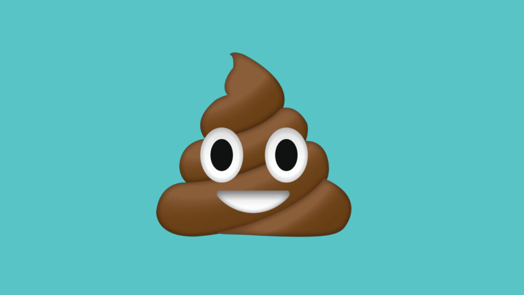 pile of poo