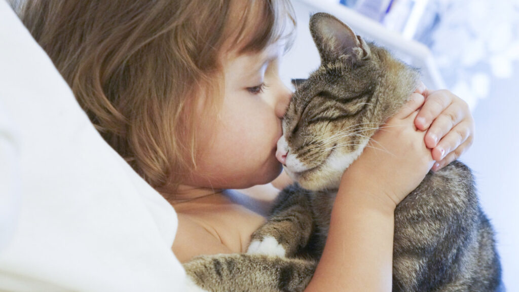 cat licking girls face